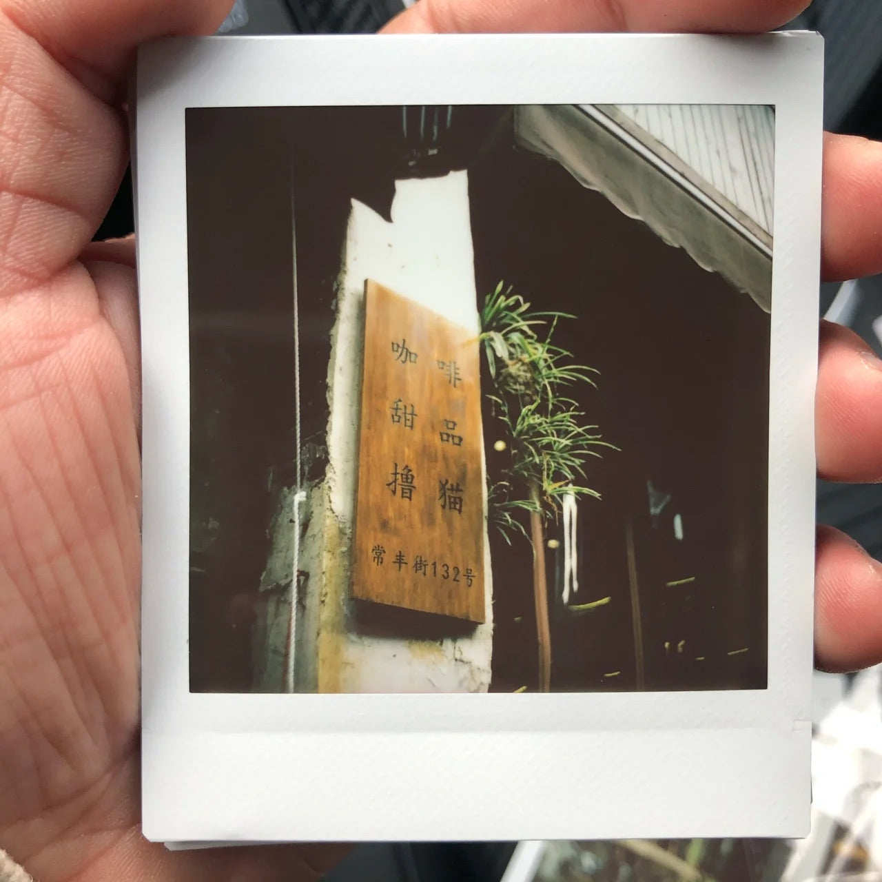 Rolleiflex camera instax SQ1 &SQ40 square film INSTAX BACK(3.5f/e/t/2.8f/e/d/c/b/gx/fx/cord)